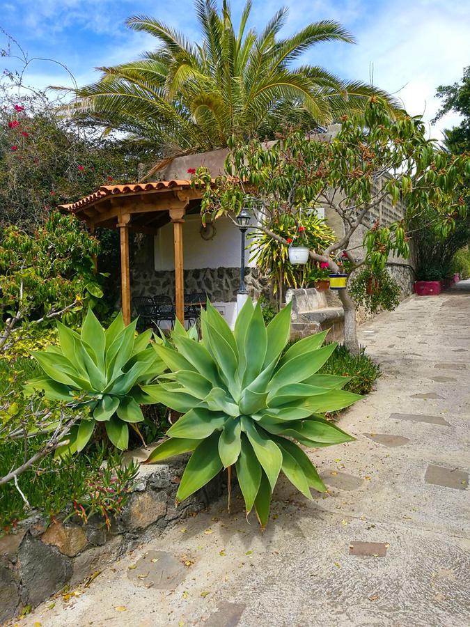 Finca El Castillo ブエナビスタ・デル・ノルテ エクステリア 写真